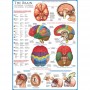 Eurographics Puzzle 1000 piese The Brain